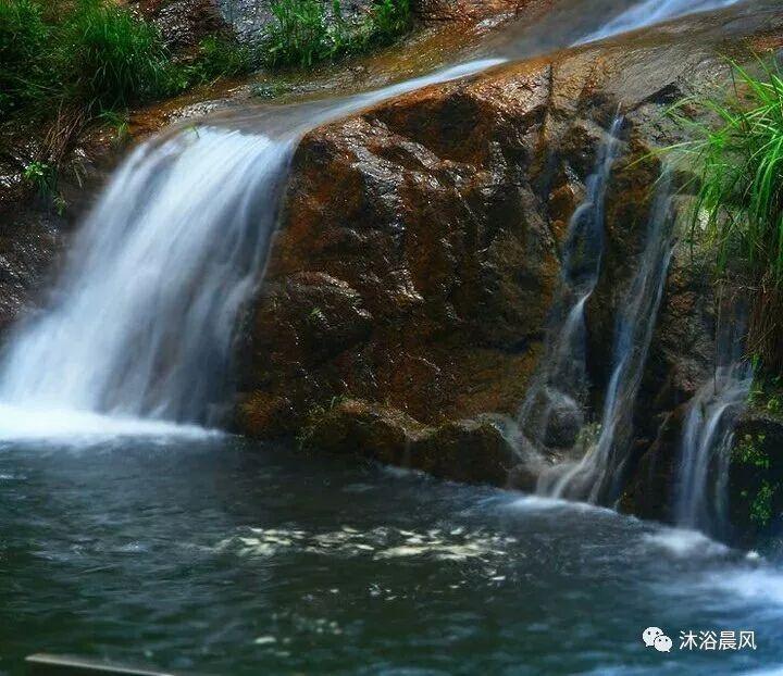 感恩节我想给母亲送花，临沂哪家鲜花店预订鲜花可以给送花上门啊？