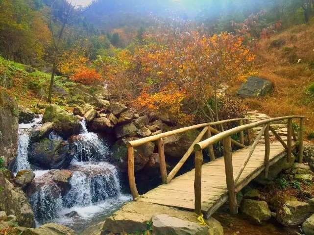 除鬼师